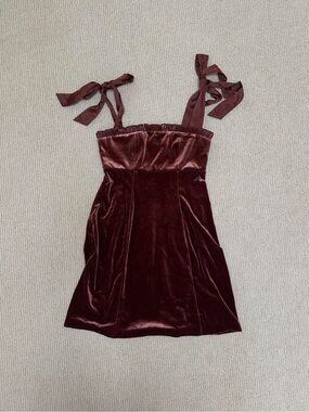 WeWoreWhat Brown Velvet Mini Dress